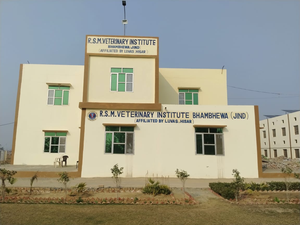 Veterinary students with animals